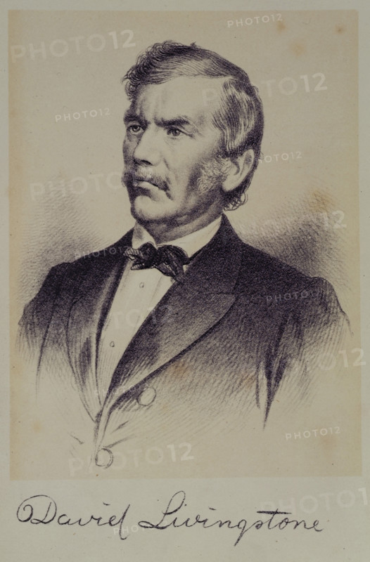 Portrait of David Livingstone, 1875. Creator: Unknown.