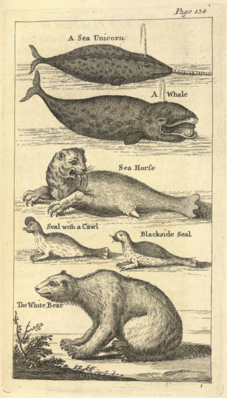 Several creatures, 1748.  Creator: Unknown.