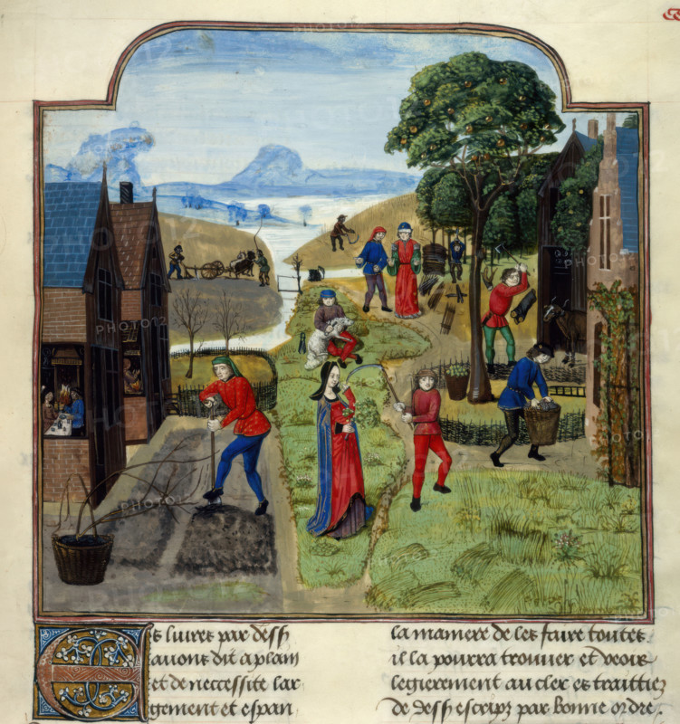 Agricultural labours, late 15th century.  Creator: Unknown.