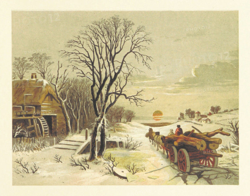 Wagon-load of logs, 1853. Creator: Unknown.
