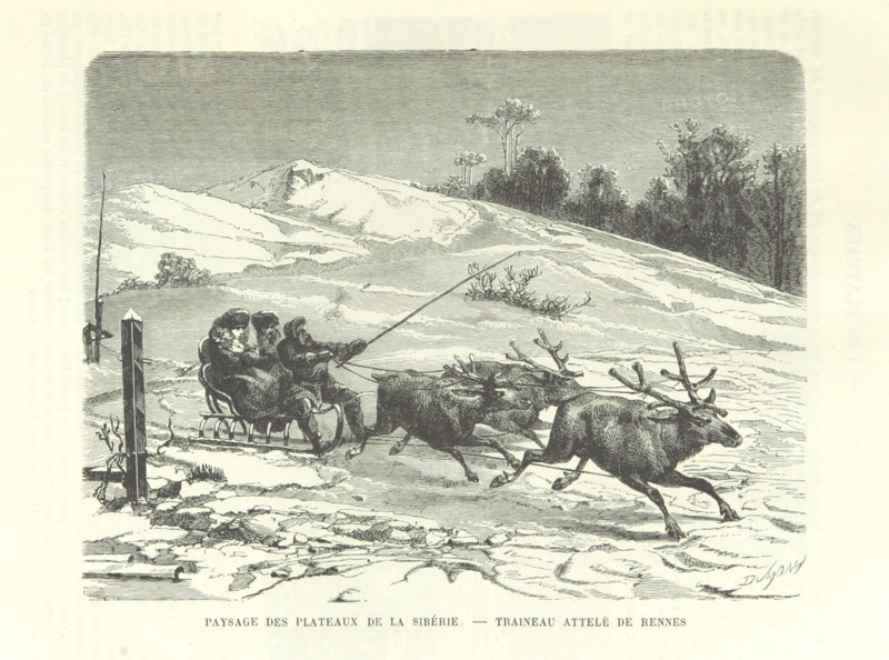 Siberian Plateau Landscape - Reindeer Sleigh, 1889.  Creator: Dumont.