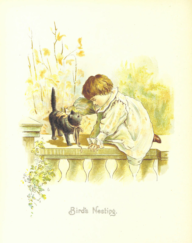 Bird's Nesting, 1892.  Creator: Unknown.