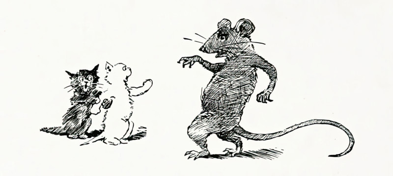 Kittens and rat, 1894.  Creator: Unknown.