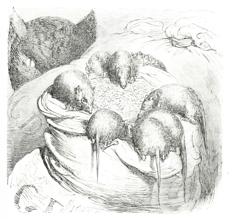 Cat watching rodents eating grain, 1860.  Creator: Unknown.