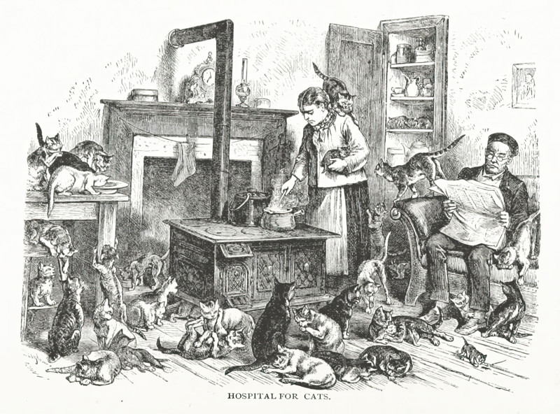 Hospital for cats, 1882.  Creator: Unknown.