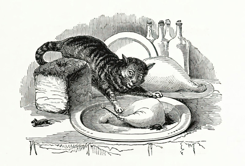Cat stealing meat from a plate, 1847.  Creator: Unknown.