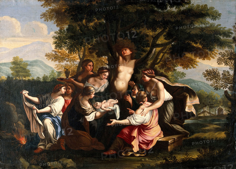 Myrrha, being transformed into the myrrh tree, gives birth to Adonis. Creator: Garzi, Luigi, 1638-1721 (Follower of).