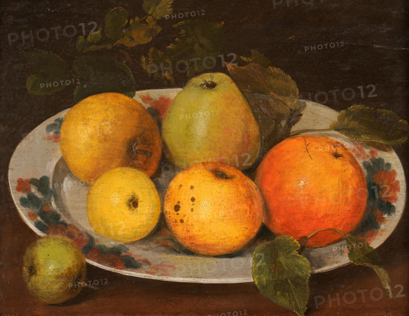 Apples gathered in Dr Jenner's garden. Creator: Stephen Jenner.