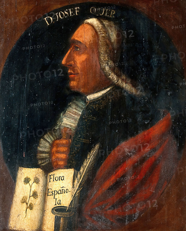 José Quer y Martínez (1695-1764). Creator: Unknown.