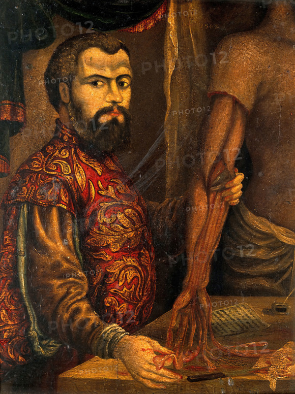 Andreas Vesalius. After a woodcut, c1550. Creator: Unknown.