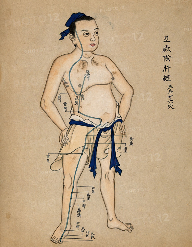 Acupuncture chart with a series of points indicated on the figure of a standing Chinese man, 1700-99 Creator: Unknown.