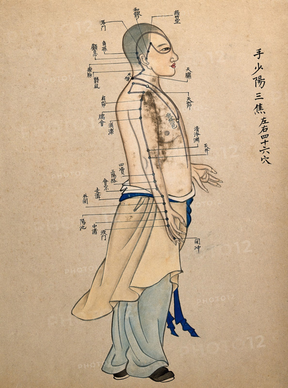 Acupuncture chart with a series of points indicated on the figure of a standing Chinese man. Creator: Unknown.