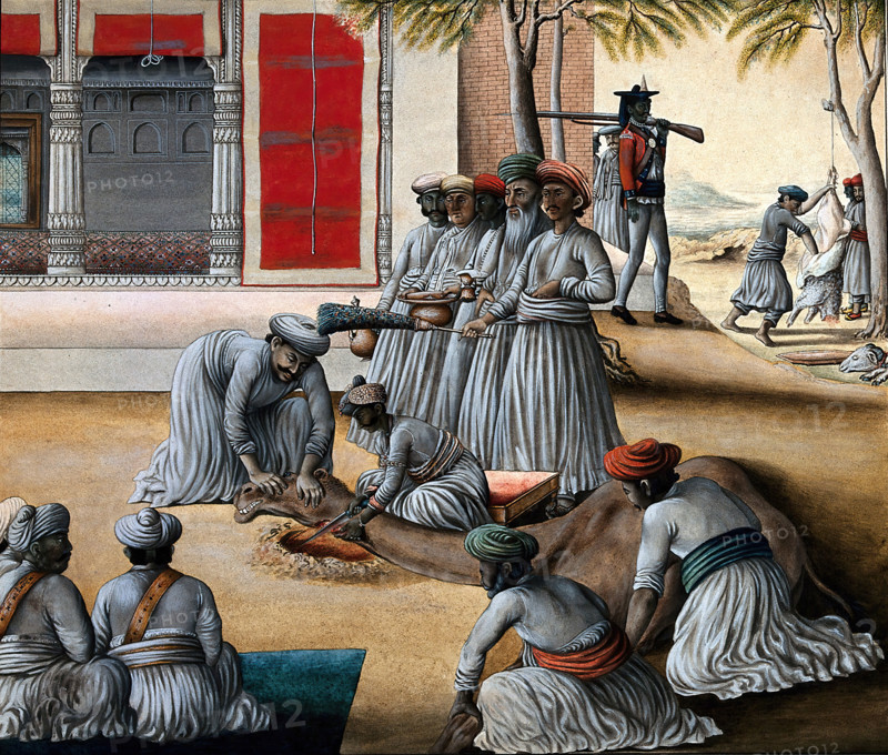 Indian men slaughtering a camel; a sheep being skinned in the background. Creator: Unknown.