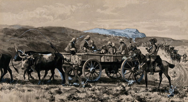 Boer War: wounded men transported in an ambulance cart drawn by oxen, 1900. Creator: George Soper.