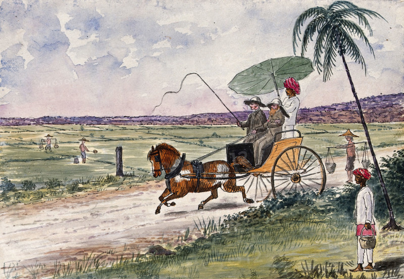 Malaya: a pony and trap being driven down a country road, 1879. Creator: John Edmund Taylor.