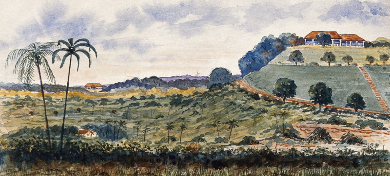 Singapore: a hill known as "Mount Echo", 1879. Creator: John Edmund Taylor.
