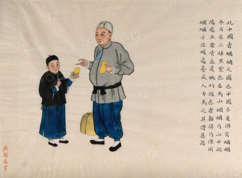 A man selling long-horned grasshoppers (Conocephalous longipennis), with a boy customer, 1890. Creator: Pei Qun Zhou.