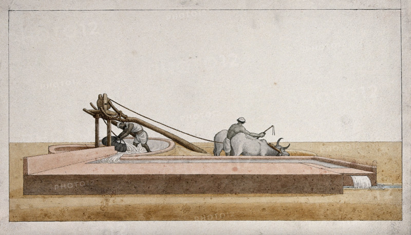 Two men drawing water from a well to channel into the fields, (between 1800 and 1899?). Creator: Unknown.