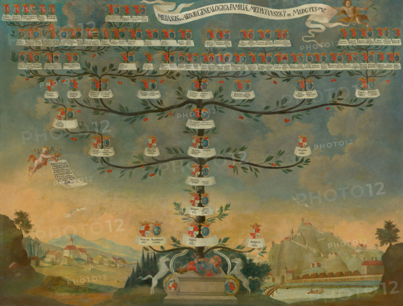 Mednyánszky Family Tree, 1744. Creator: Unknown.