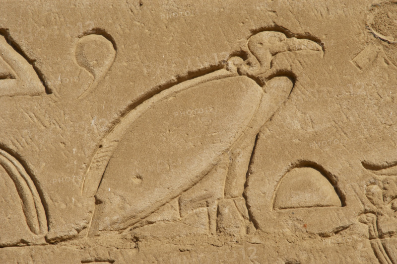 Vulture relief, Temple of Horus, Edfu, Egypt, 3rd century BC (2003). Creator: Unknown.