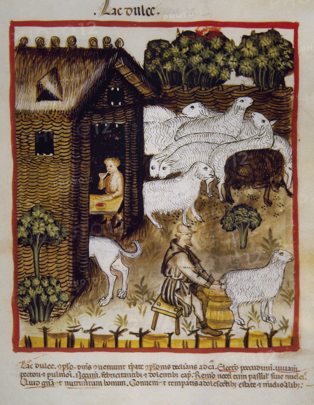 Sweet milk, 14th century.  Creator: Unknown.