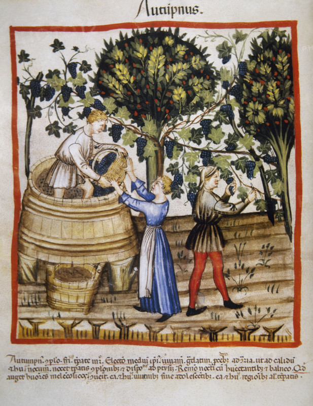 Autumn: Grape harvest and winemaking, 14th century.  Creator: Unknown.