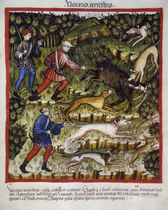 Boar hunting, 14th century.  Creator: Unknown.