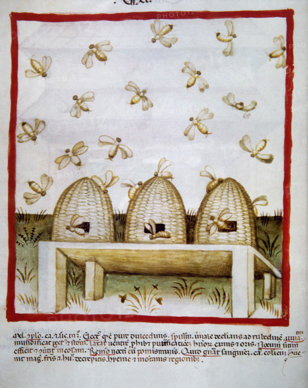 Honey, 14th century.  Creator: Unknown.