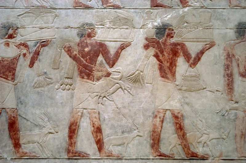 Offering bearers, polychrome relief, Mastaba of Kagemni, Saqqara, Egypt, 2350 BC (2003). Creator: Unknown.