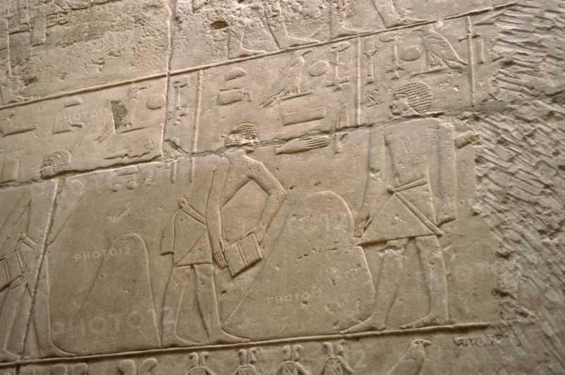 Agricultural scene relief, Mastaba of Kagemni, Saqqara, Egypt, Old Kingdom, 2350 BC (2003). Creator: Unknown.