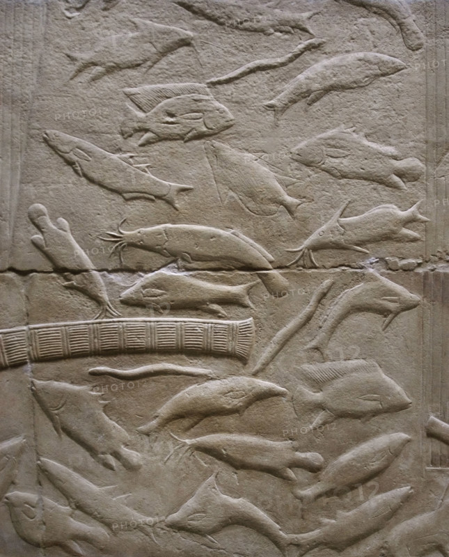 Fish relief, Mastaba of Kagemni, Saqqara, Egypt, Old Kingdom, 6th Dynasty, 2350 BC (2003). Creator: Unknown.