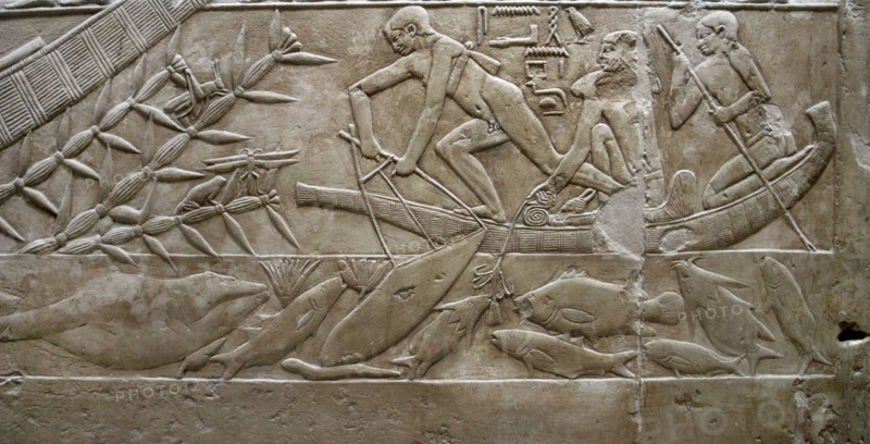 Fishing scene relief, Mastaba of Kagemni, Saqqara, Egypt, Old Kingdom, 6th Dynasty, 2350 BC (2003). Creator: Unknown.