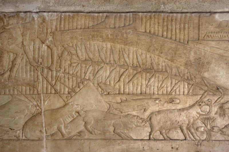 Fishing scene relief, Mastaba of Kagemni, Saqqara, Egypt, Old Kingdom, 6th Dynasty, 2350 BC (2003). Creator: Unknown.