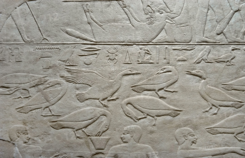 Geese relief, Mastaba of Kagemni, Saqqara, Egypt, Old Kingdom, 6th Dynasty, 2350 BC (2003). Creator: Unknown.
