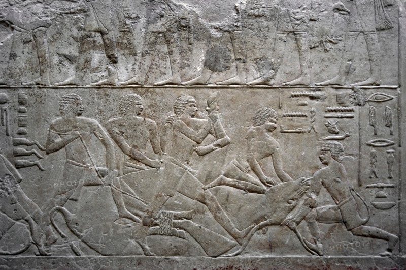 Relief depicting an ox slaughter, Mastaba of Mereruka, Saqqara, Egypt, Old Kingdom, 2003. Creator: Unknown.