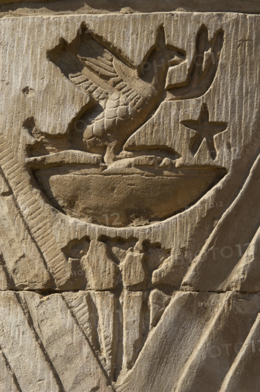 Bird relief, Temple of Kom Ombo, Egypt, Ptolemaic Dynasty, 2nd century BC (2003). Creator: Unknown.