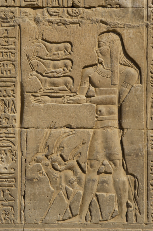Offerer relief, Temple of Kom Ombo, Egypt, Ptolemaic Dynasty, 2nd century BC (2023). Creator: Unknown.
