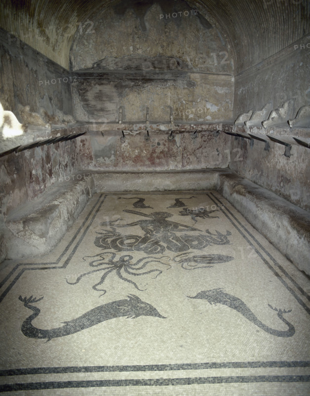 Mosaic with Triton, female tepidarium, thermal baths, Herculaneum, Italy, 2002. Creator: LTL.
