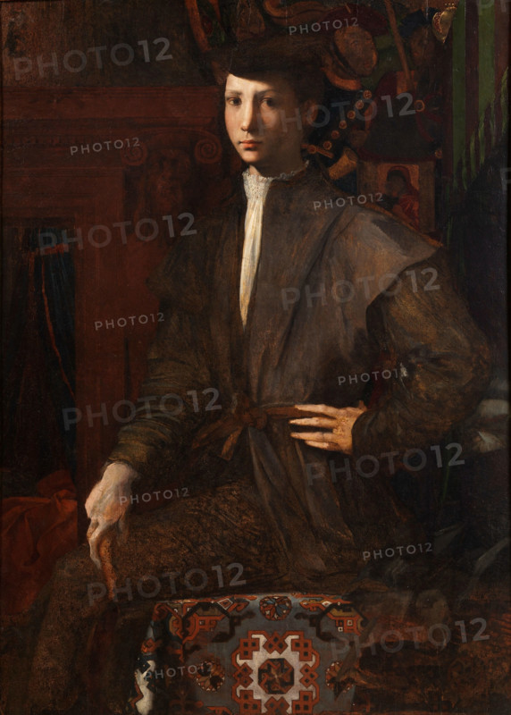 Portrait of a Youth, c1527. Creator: Rosso Fiorentino (1495-1540).