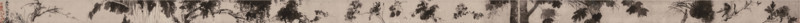 Miscellaneous Plants. Handscroll , Second half of the16th century. Creator: Xu Wei (1521-1593).