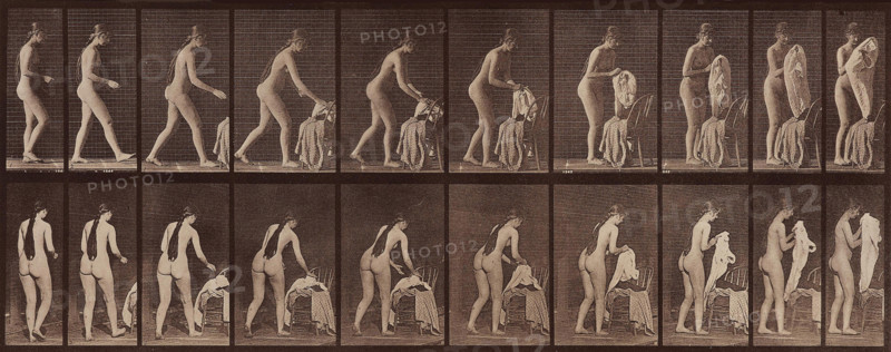 Animal Locomotion. Plate 415, 1887. Creator: Muybridge, Eadweard (1830-1904).