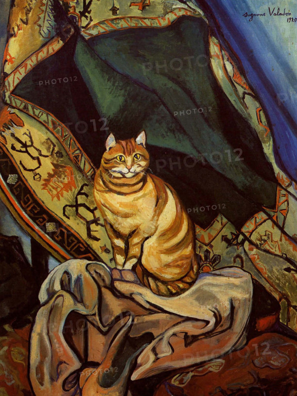 Le chat Raminou assis sur un tissu (Cat Raminou sitting on a cloth), 1920. Creator: Valadon, Suzanne (1865-1938).
