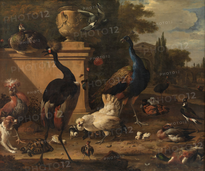 Hen Run at a Manor, c1675-1680. Creator: Hondecoeter, Melchior de (1636-1695).