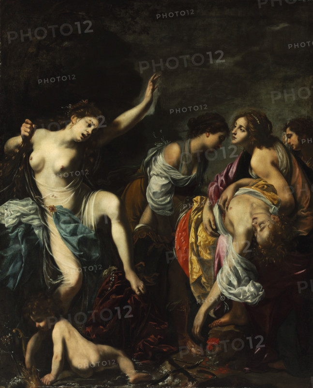 Venus Mourning Adonis, c1626-1628. Creator: Furini, Francesco (1603-1643).