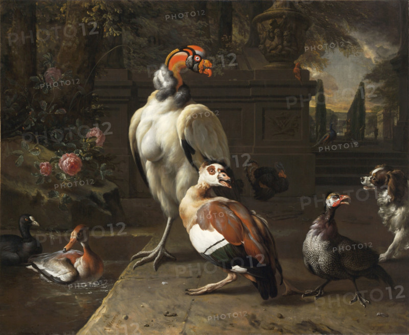 Exotic Birds in a Park, 1702. Creator: Weenix, Jan, the Younger (1642-1719).