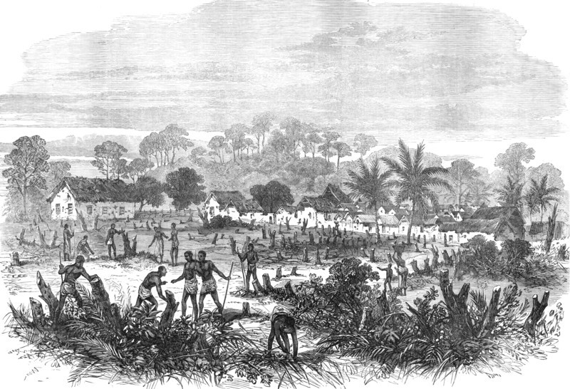 The Ashantee War: the battle-field of Abrakrampa - from a sketch by our special artist, 1874. Creator: Unknown.