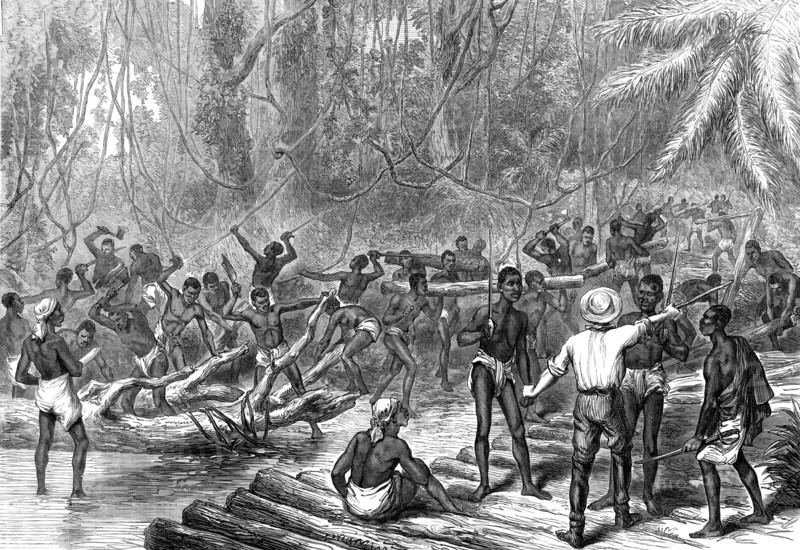 The Ashantee War: cutting and making a road to Coomassie, from a sketch by our special artist, 1874. Creator: Unknown.