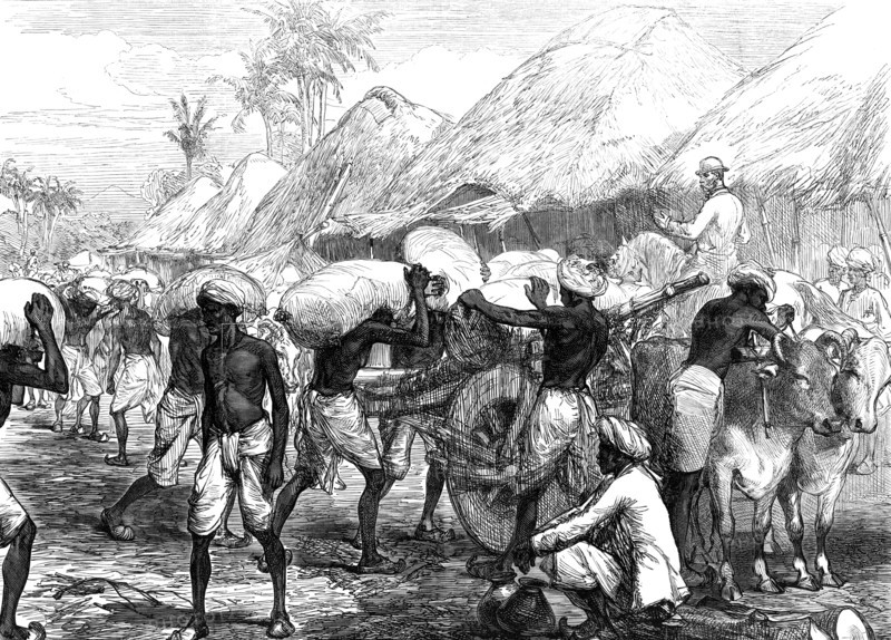 The Famine in Bengal: loading grain-carts near Calcutta, 1874. Creator: Unknown.