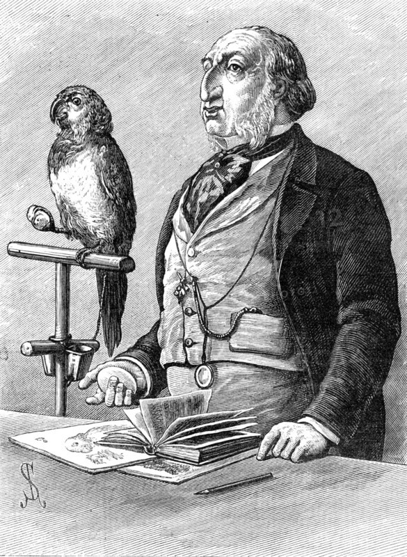 Odd Sketches at the Zoological Gardens: "Birds of a Feather", 1881. Creator: Unknown.