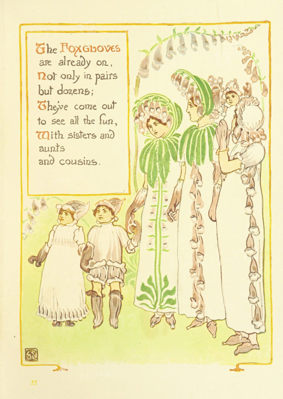 The Foxgloves are already on, Not only in pairs but dozens..., 1899.  Creator: Walter Crane.